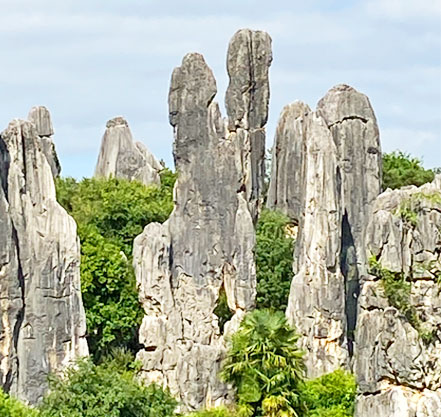 bosque de piedras