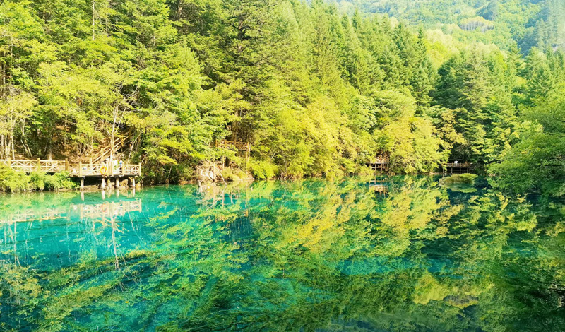 Jiuzhaigou Foliage